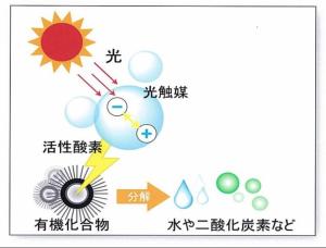 光觸媒1.jpg