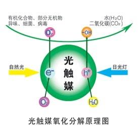 光觸媒2.jpg